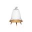 Picture of BELL DOME GLASS [DIAMETER 340MM / HEIGHT 400MM] (BDG0340)