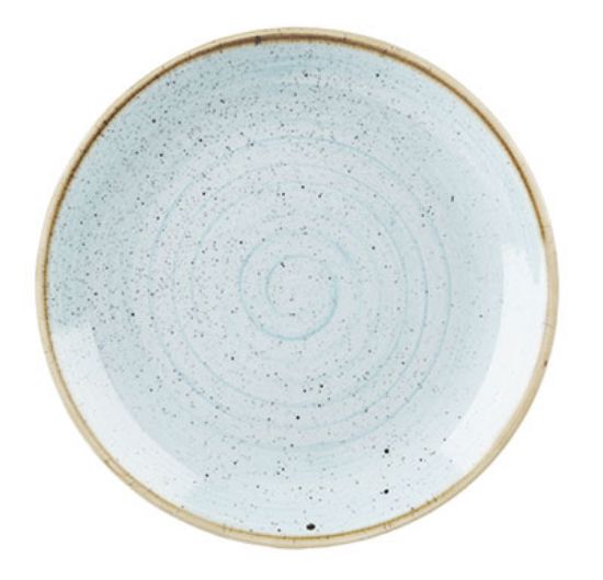 Picture of STONECAST - DUCK EGG BLUE - COUPE PLATE - 28.8CM (12) (CC-SDES-EV11.1)