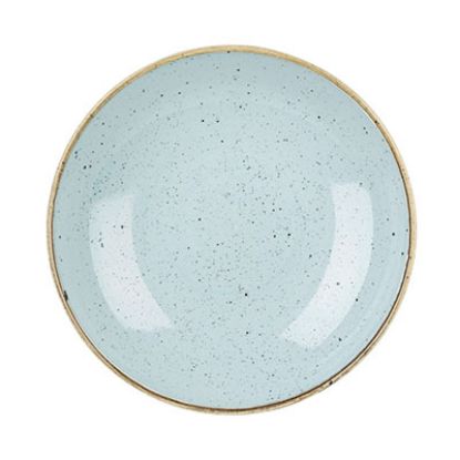 Picture of STONECAST - DUCK EGG BLUE - COUPE BOWL - 24.8CM 1.13LT (12) (CC-SDES-EVB9.1)