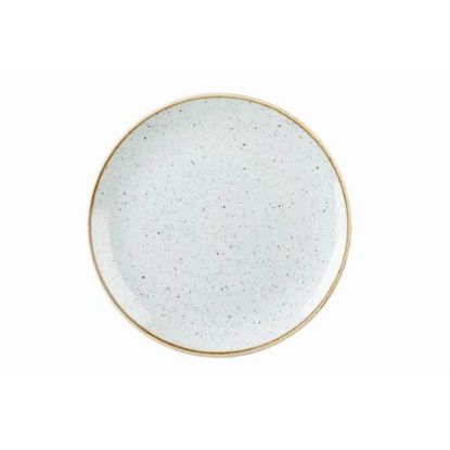 Picture of STONECAST - DUCK EGG BLUE - COUPE PLATE - 21.7CM (12) (CC-SDES-EVP8.1)