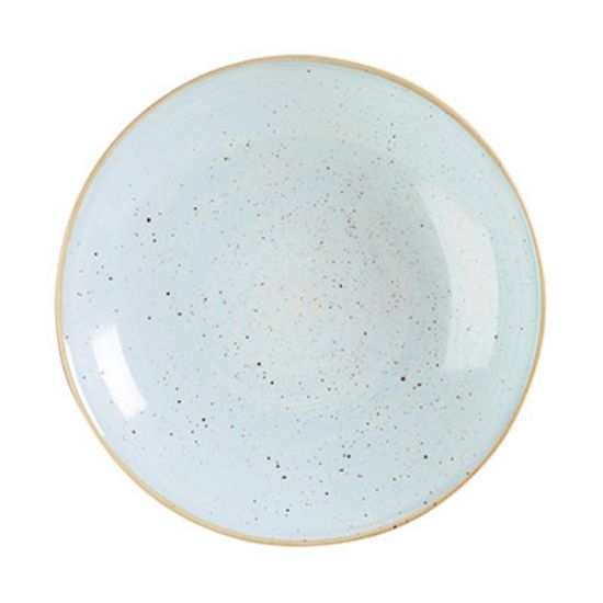 Picture of STONECAST - DUCK EGG BLUE - LARGE COUPE BOWL - 31CM (6) (CC-SDES-PLC2.1)