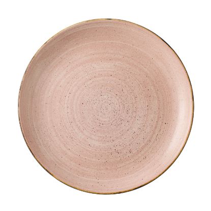Picture of STONECAST RAW - TERRACOTTA - COUPE PLATE - 21.7CM (12) (CC-SRTE-EVP8.1)