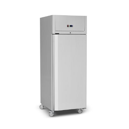 Picture of COMMERCIAL KITCHEN FREEZER - SINGLE DOOR - S/STEEL (CKF0830-R02)