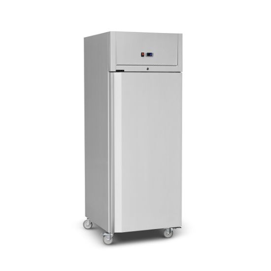 Picture of COMMERCIAL KITCHEN FREEZER - SINGLE DOOR - S/STEEL (CKF0830-R02)