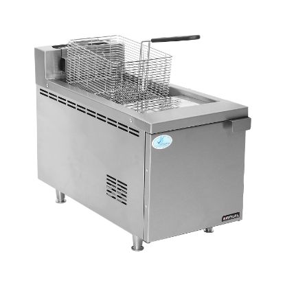 Picture of FISH FRYER ANVIL - SINGLE PAN - GAS [NEW] (FFA4110-R01)