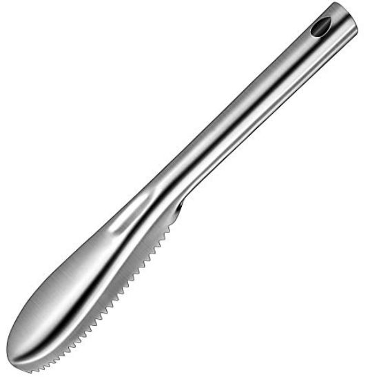 Picture of FISH SCALER STAINLESS STEEL - 235MM (FSS0235)
