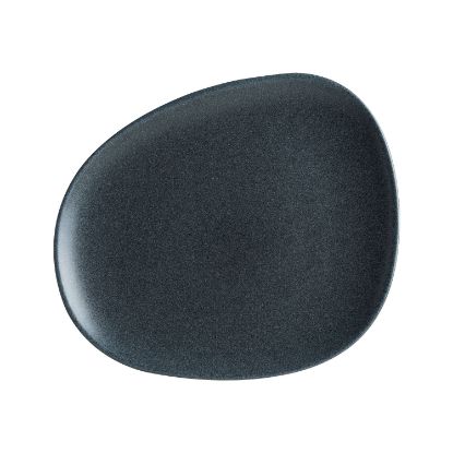 Picture of GRAPHITE - ORGANIC COUPE PLATE - 24CM (12) (GRPVAO24DZ)