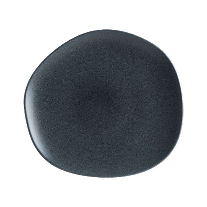 Picture of GRAPHITE - ORGANIC COUPE PLATE - 29CM (6) (GRPVAO29DZ)